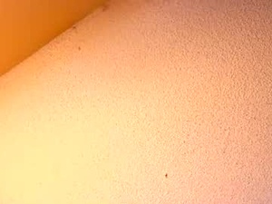 mykingofhearts's webcam