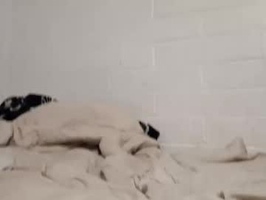 mysterywolf91's webcam