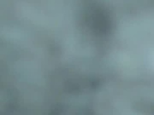 natalie_porter_'s webcam