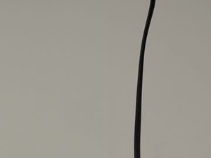 naughtyhoneybee_'s webcam