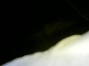 nicholaastavrou19's webcam