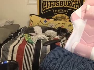 nikkimasters1091's webcam