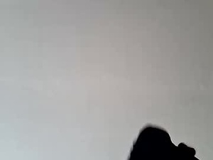 nixotee's webcam
