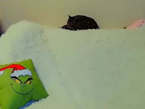 not_nakedcat's webcam