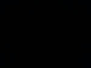 oakpark's webcam