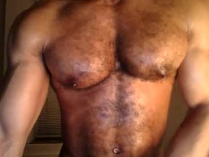 orderbringer's webcam