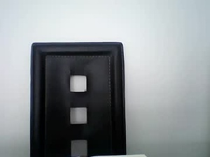 palaceje's webcam