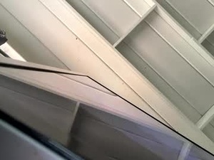 palmb's webcam