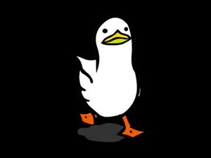 palmiramaruffo's webcam