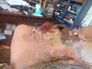 paulpauld's webcam