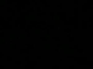peter195215885's webcam