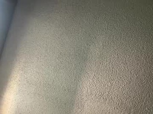 piccolokamutef's webcam