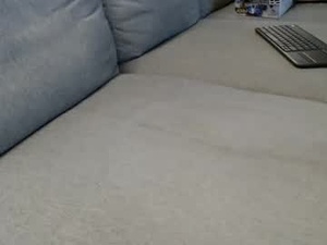 professorwmbg's webcam