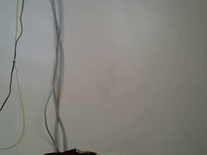 red_bunnie's webcam