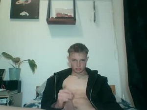 reynhardt's webcam