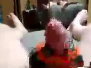robster1122's webcam