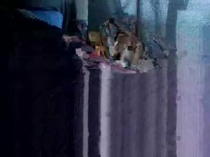 roddstiff01's webcam