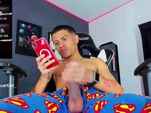 romancartier_'s webcam