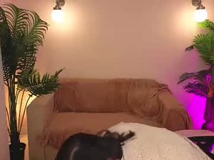 rose_elegantt's webcam