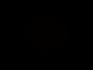 scodydog81's webcam