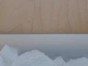 scorpionvolant's webcam