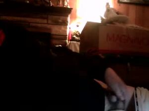 seanstiffy3916's webcam