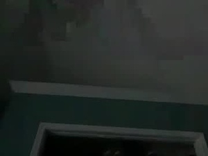 sexxeelex's webcam