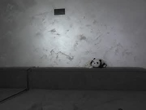 shareekonty's webcam