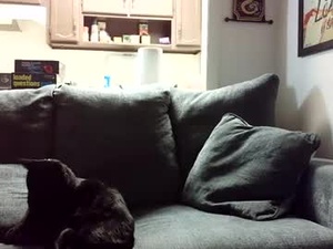 short_king01's webcam