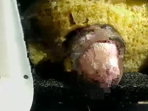 sifridtx's webcam