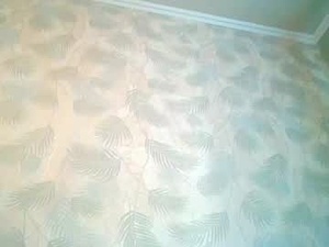simbo_cool's webcam