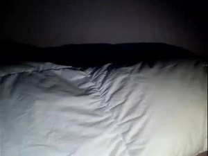 sircamalot45's webcam