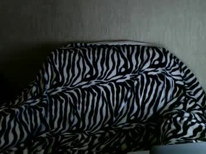 sirensong__'s webcam