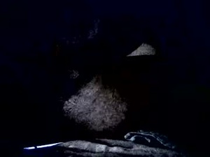smoketina19's webcam
