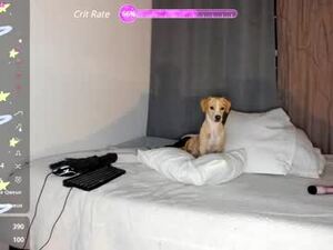sofilara's webcam
