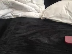 softnhard69's webcam