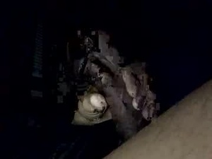 sohardithurts007's webcam