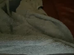 srybob's webcam