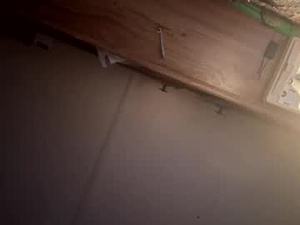 stagsest19xx's webcam