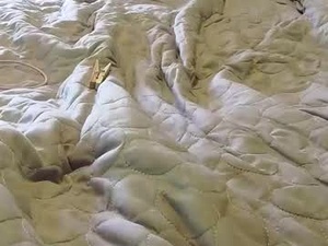 subby_shaman's webcam