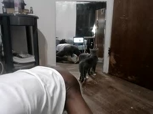 succulent516441's webcam