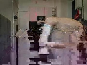 suntoryberlin's webcam