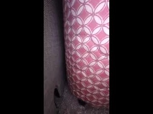 supawupadupasained's webcam