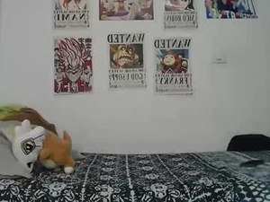 t1gragas's webcam