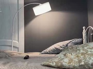 taste_for_love's webcam