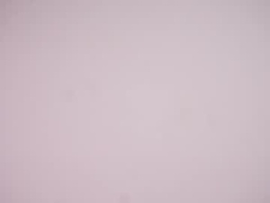 tawanaeissinger's webcam