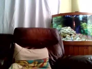 tekken76's webcam