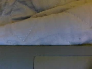 teninchcockofbeauty's webcam