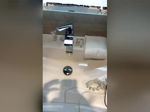 teslaniketech's webcam