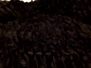 thetattedaccountant95's webcam